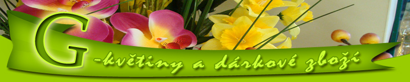 Primary Raster logo
